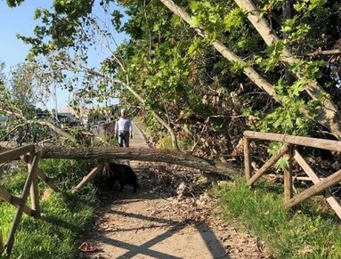 “La pista ciclopedonale lungo l’Agogna è interrotta da un mese”