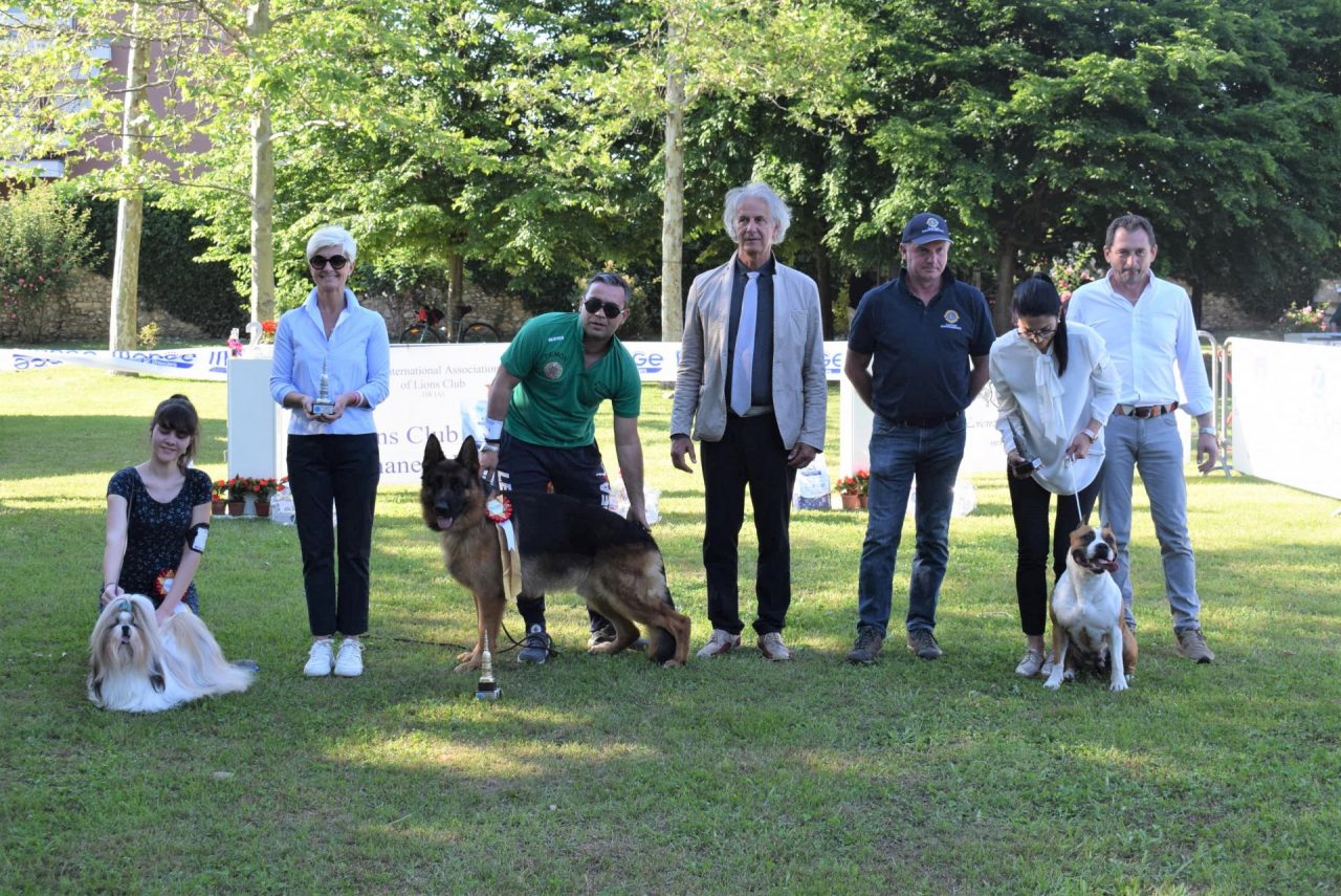 A Borgomanero il 5° concorso cinofilo targato Lions