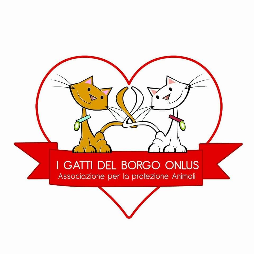 Gattino ucciso a Gioia Tauro: i Gatti del Borgo presentano denuncia