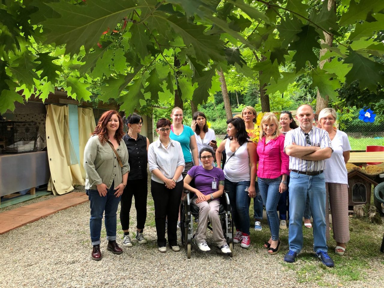 A Borgomanero domenica 16 l’Open day del Gattile