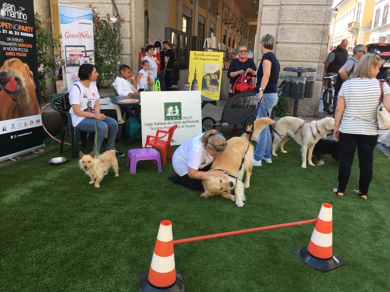 “Simpatiche Zampette”: gioca con il Corriere di Novara