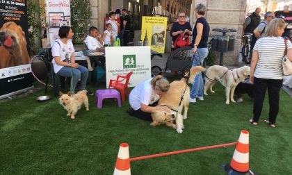 "Simpatiche Zampette": gioca con il Corriere di Novara