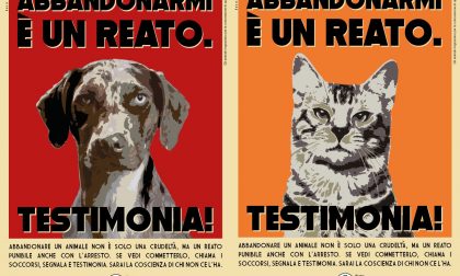 Campagna Enpa: "Abbandonarmi è un reato: testimonia!"