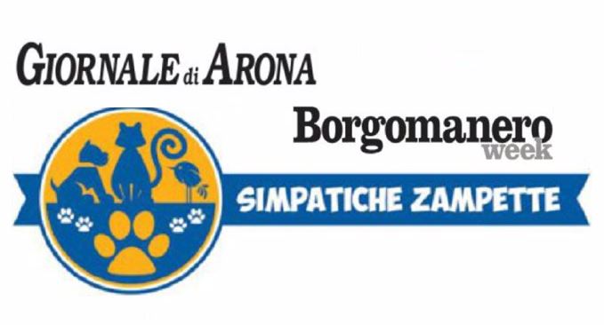 Simpatiche Zampette 2019: mandateci le foto dei vostri animali!