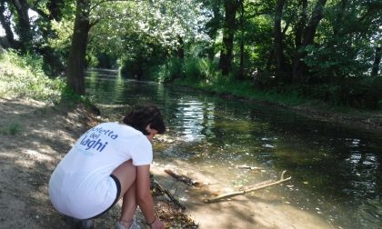 Allarme Legambiente per l'acqua in zona Lido: "E' fortemente inquinata"