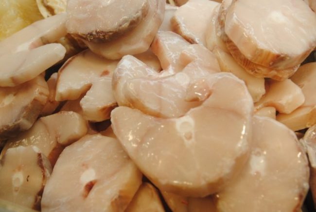 Allarme per un lotto di verdesca con troppo mercurio, l’avviso del Ministero