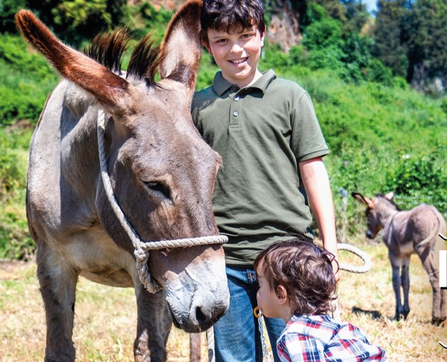 VIllaggio Coldiretti a Milano: Novara c’è