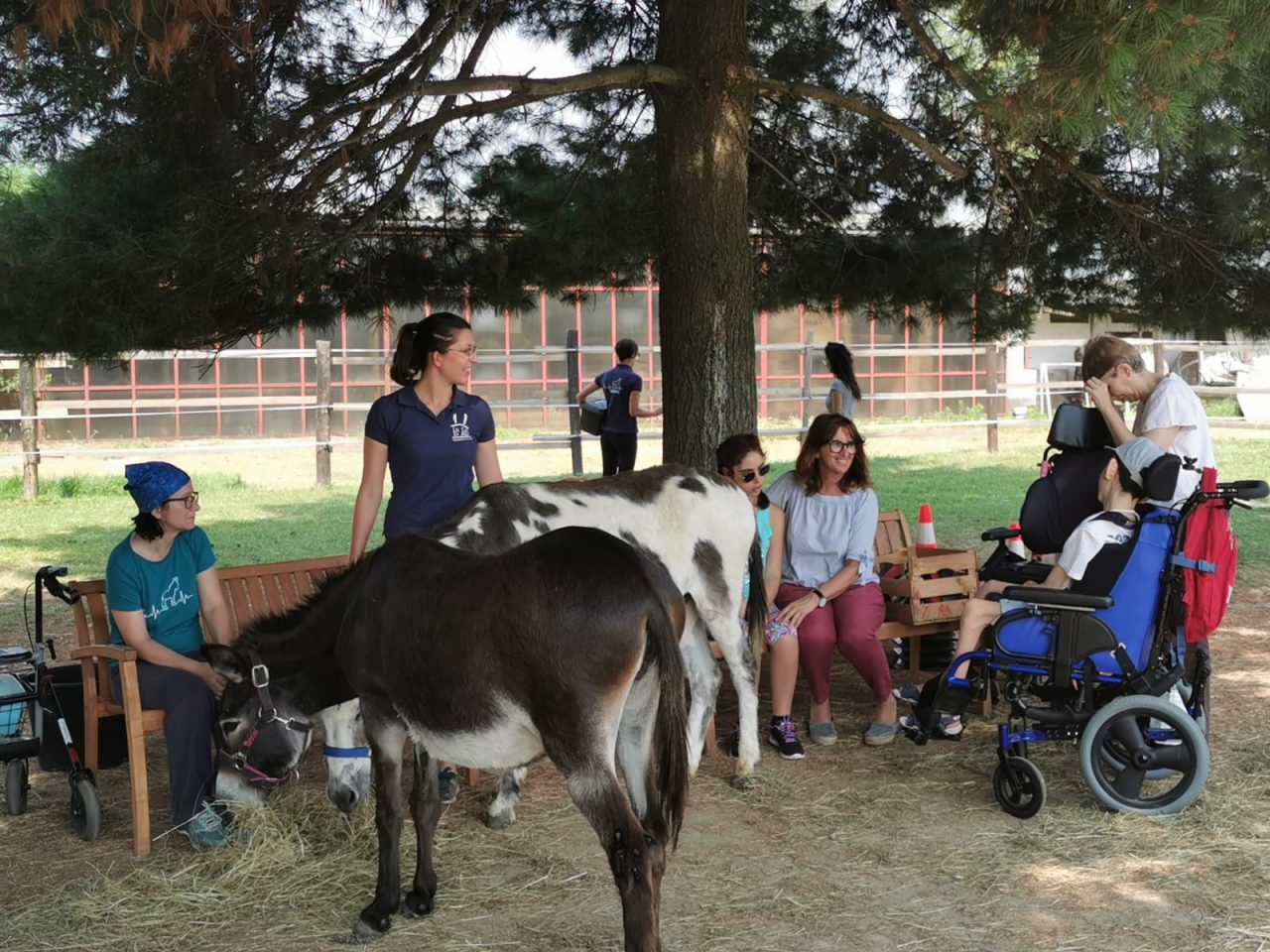 Gli amici ritrovati… un anno dopo