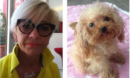 Arona cagnolina uccisa: "Ecco cosa è successo alla mia piccola Zoe"