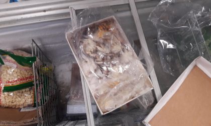 Sequestrati 20 kg di prodotti alimentari non tracciabili e mal conservati