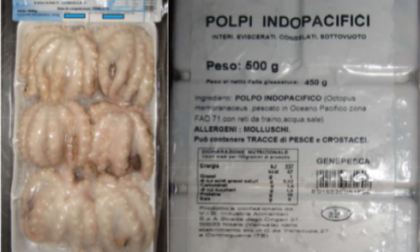 Solfiti nei polpi congelati richiamati dai supermercati Auchan