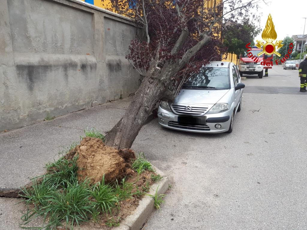 Maltempo: scarica di fulmini in Bassa Valsesia