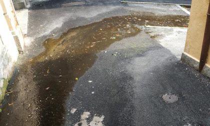 Perdita d'acqua a Lesa: "Cosa si aspetta a intervenire?"