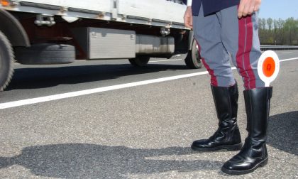 Anatre, oche e galline in mezzo ai rubinetti: multato camionista