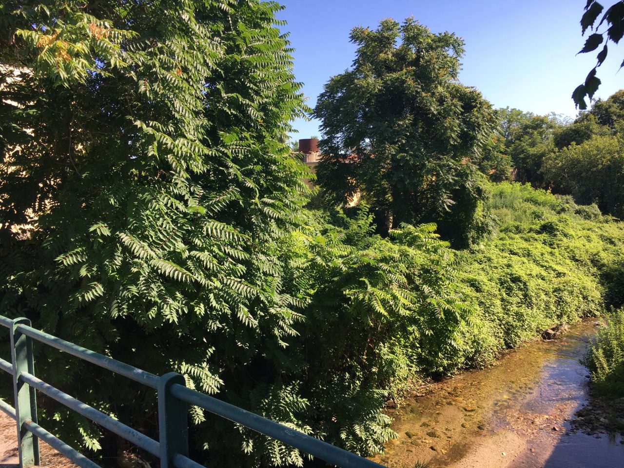 Arona Lidl si sposta da via Vittorio Veneto a via Milano