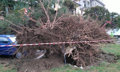 Maltempo Vco: riapre il camping evacuato, treni regolari