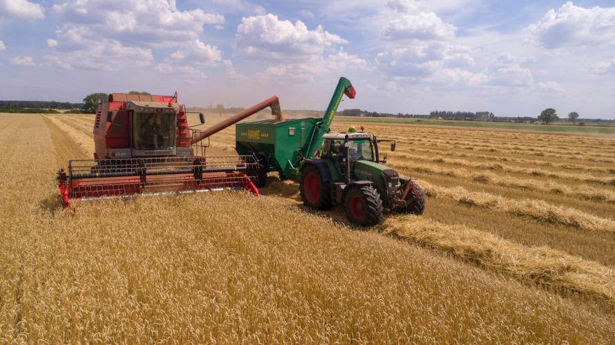 Conversione all’agricoltura biologica: la Regione garantisce la copertura finanziaria a tutte le 230 aziende agricole