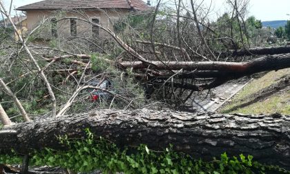 Maltempo, la Regione chiede lo stato di calamità