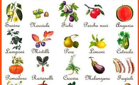 Trecate agrimercato ecco l’appuntamento di agosto