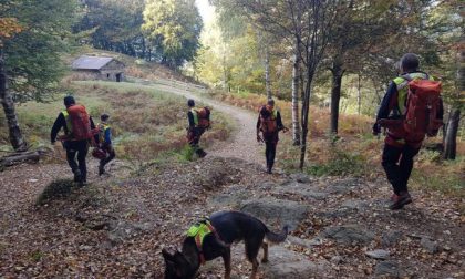 Inizia la stagione dei funghi: ecco i consigli del Soccorso Alpino