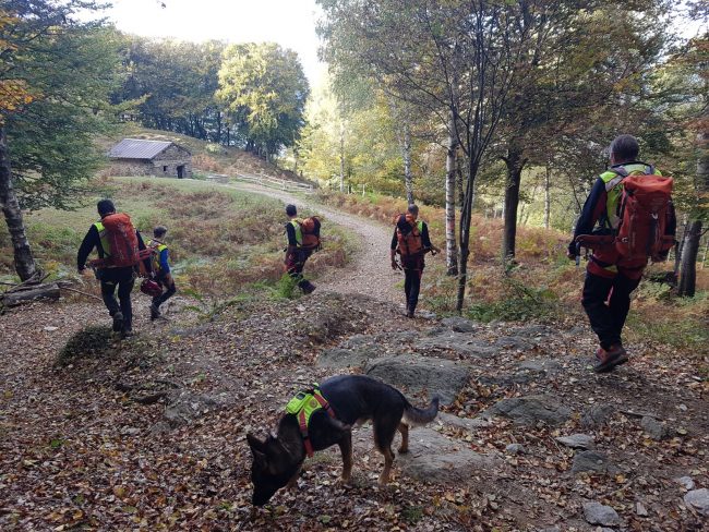 Inizia la stagione dei funghi: ecco i consigli del Soccorso Alpino