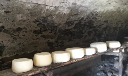 Ladro di formaggi filmato in alpeggio: “Hai tempo fino a lunedì, poi vado a denunciarti”