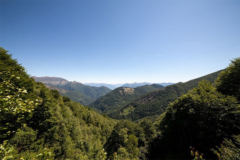 Trail: Lago Maggiore ZipLine a Ronchi e Moia