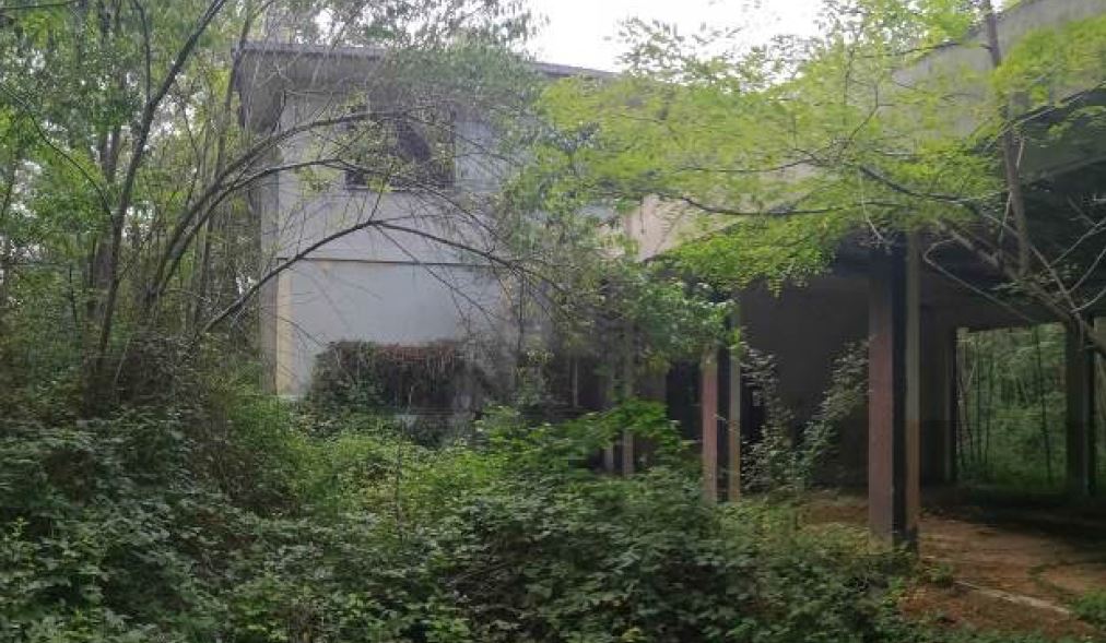 Ex colonia solare di Maggiora: il comune di Borgomanero cerca manifestazioni di interesse