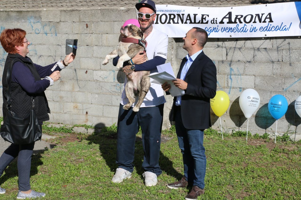 E’ Godzilla il re delle Simpatiche zampette del Giornale di Arona/Borgomaneroweek – LE FOTO