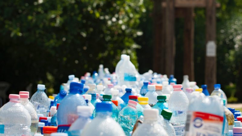 Domenica “Plastic free” a Pisano: ecco il programma