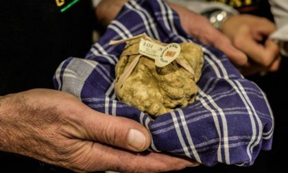 Al via la Fiera Internazionale del Tartufo d’Alba
