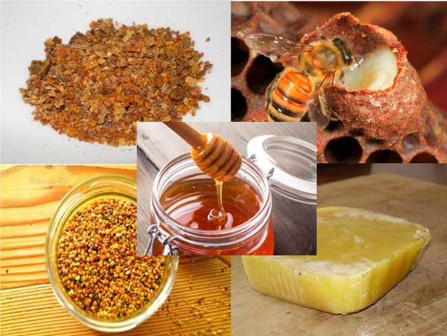 Emergenza apicultura, produzione di miele in forte crisi, la Regione stanzia nuovi contributi