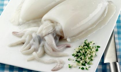 Cadmio nelle seppie congelate: il Ministero della Salute segnala rischio chimico