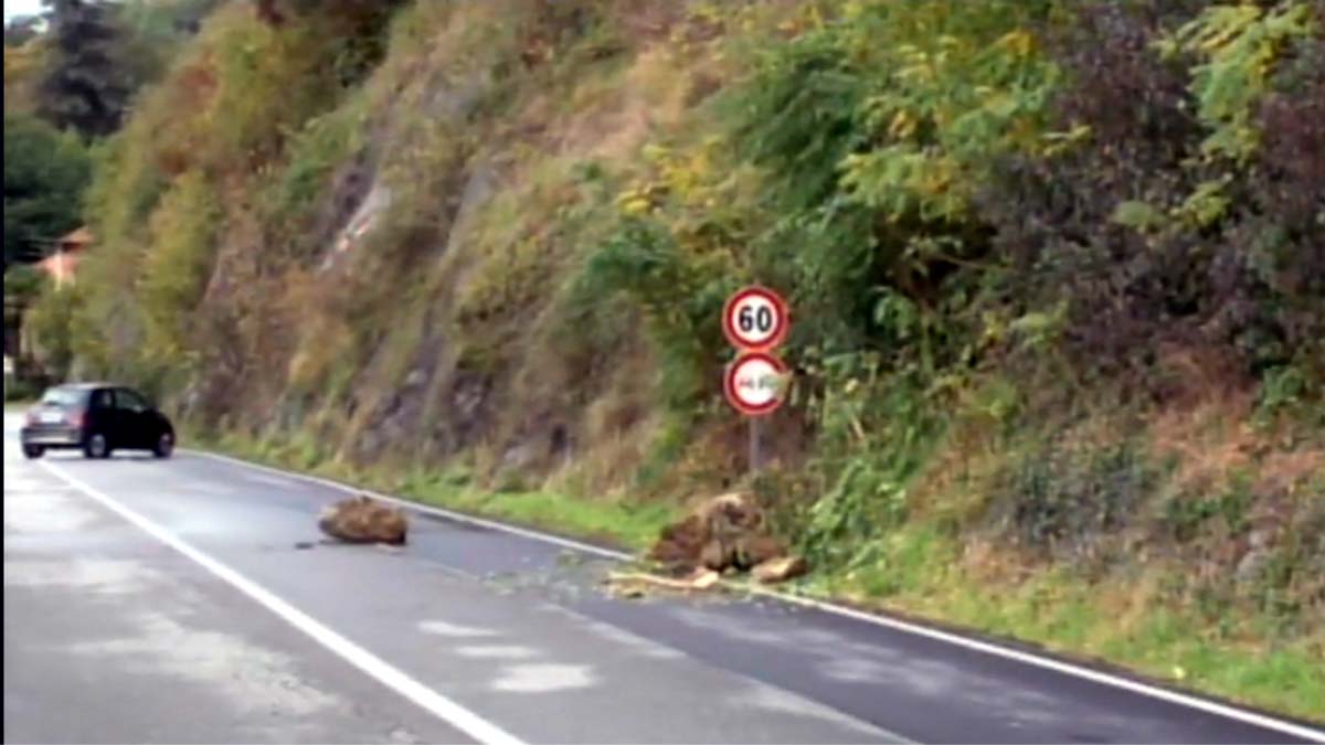 Frana sulla Statale 34 del Lago Maggiore: strada chiusa e percorsi consigliati