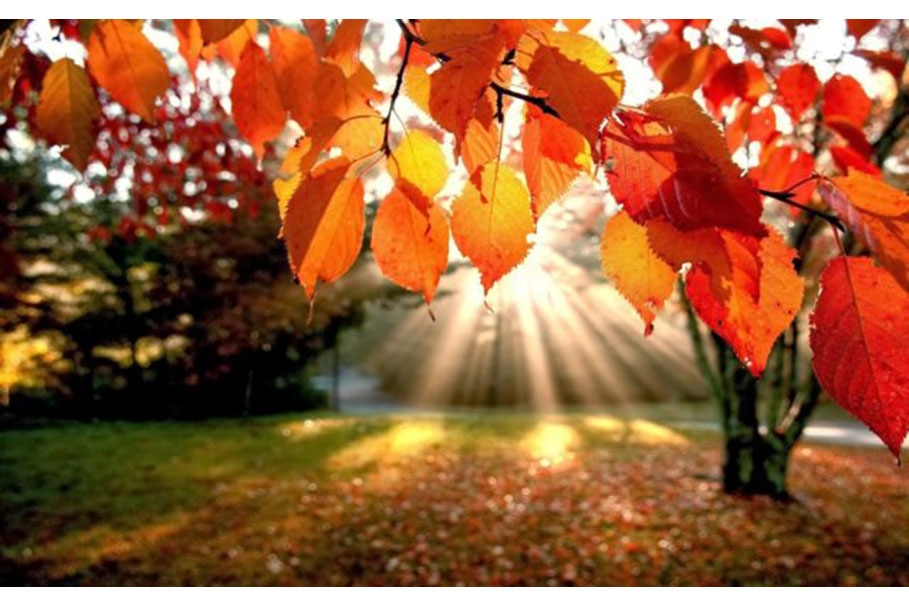 Estate di San Martino: quest’anno salta