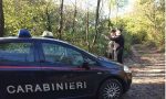 Spacciavano nei boschi di Oleggio: in tre finiscono in manette