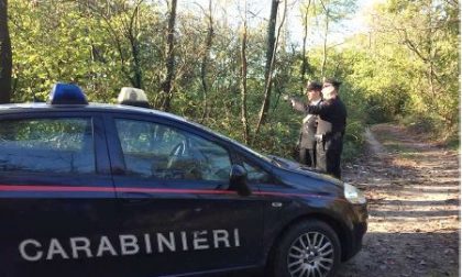 Spacciavano nei boschi di Oleggio: in tre finiscono in manette