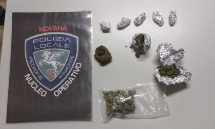 Novara, sequestrati hashish e marijuana