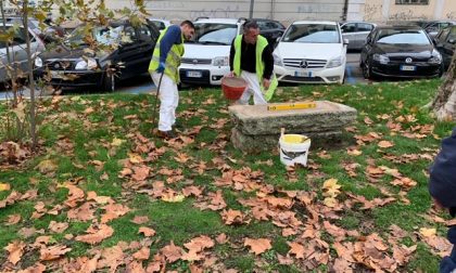 Novara: nuove panchine in pietra antivandali