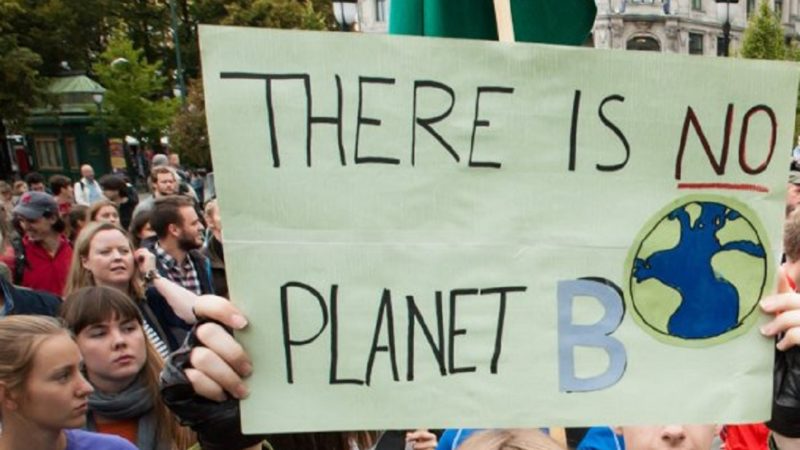 Fridays for future: raduno internazionale a Torino