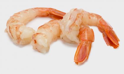 Solfiti oltre i limiti nelle code di mazzancolle tropicali Luna Nera