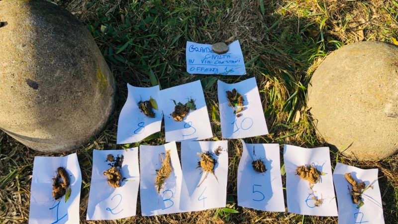 Escrementi numerati: la nuova protesta contro gli incivili