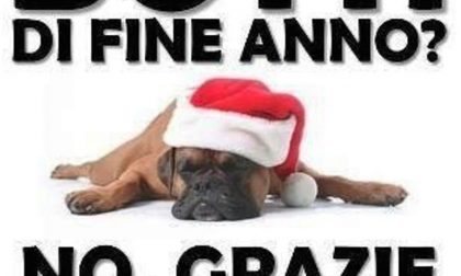 Partito Animalista Italiano lancia la campagna "Basta botti 2019"