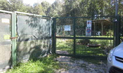 Sequestro al canile sanitario di Borgo Ticino