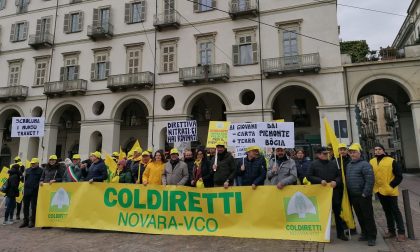 Anche da Novara agricoltori in piazza a Torino