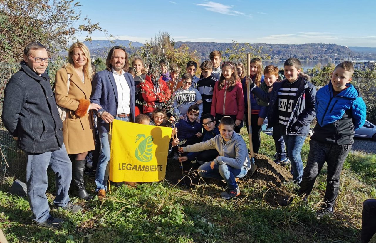 La Festa dell’albero a Dormelletto