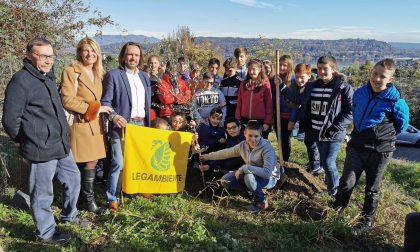 La Festa dell'albero a Dormelletto