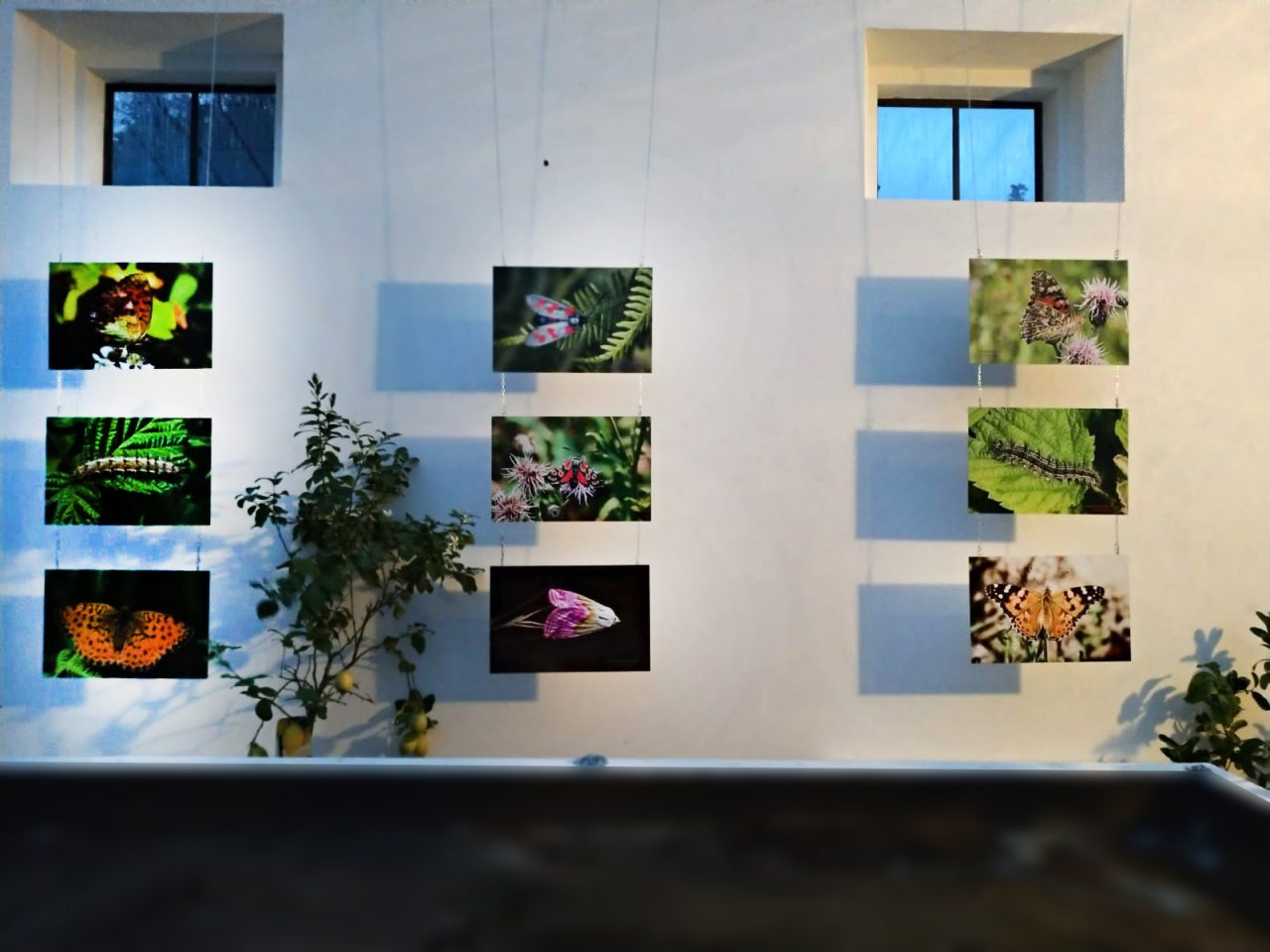 La mostra MicroMacro arriva al museo di Meina