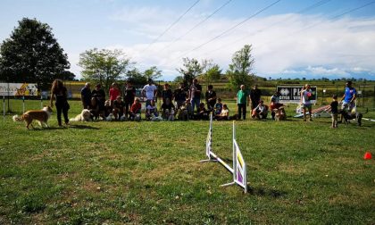 Go Go Dog, educazione e divertimento con il proprio cane
