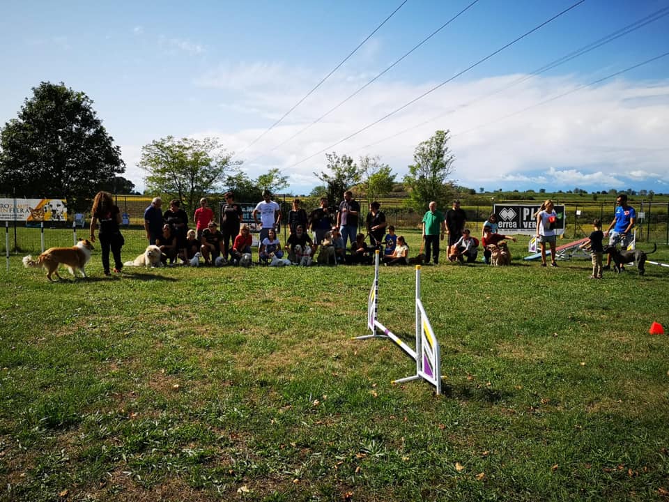 Go Go Dog, educazione e divertimento con il proprio cane